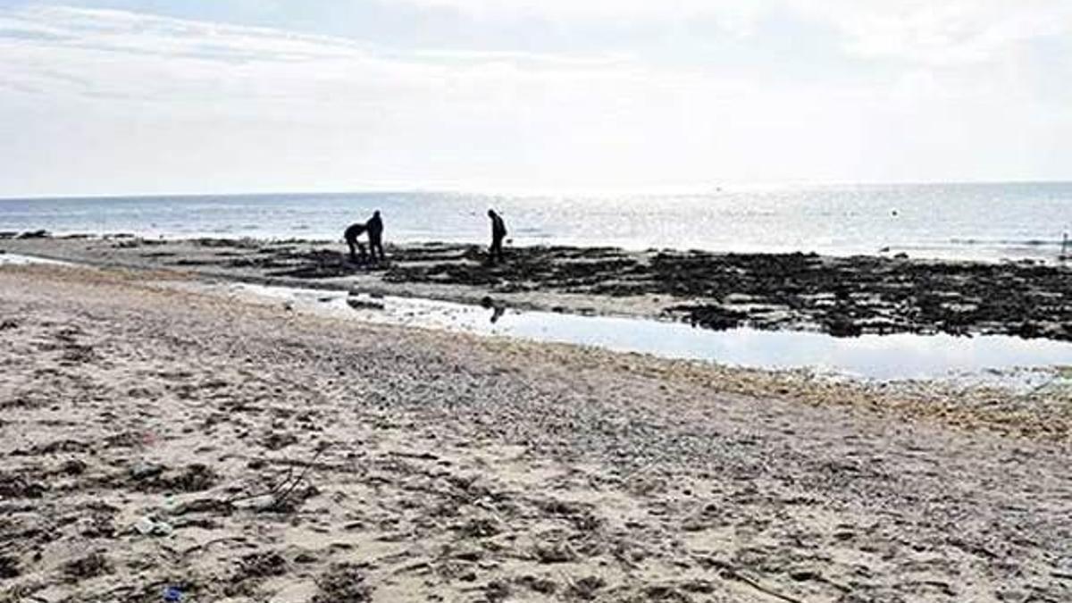 Tekirdağ'da deniz 15 metre çekildi