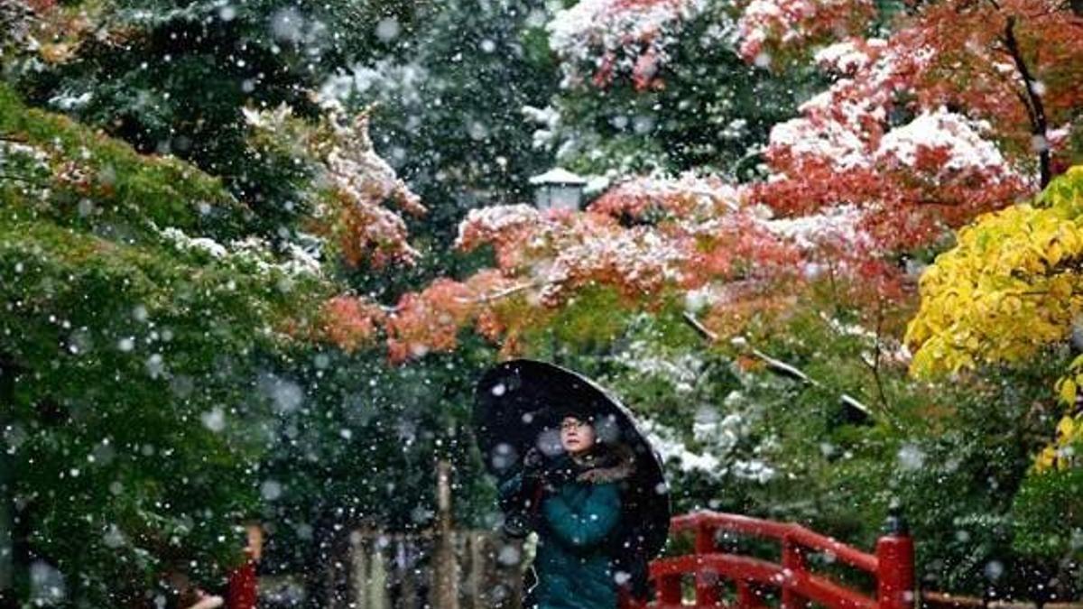 Tokyo'ya 54 yıl sonra ilk Kasım karı yağdı