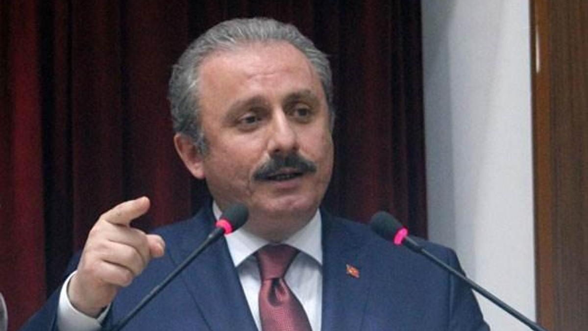 Şentop Anayasa referandumu için tarih verdi