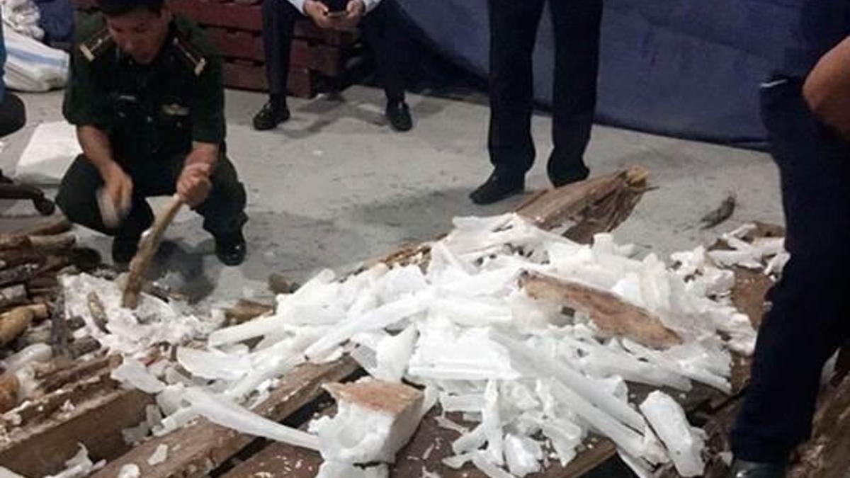 Bir ton fil dişi ele geçirildi