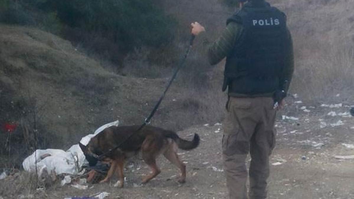 Kesik bacaktan "çekiçli" vahşet çıktı