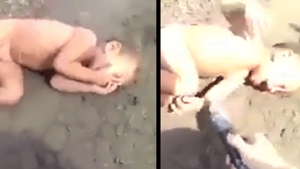 Böyle vahşet görülmedi! Arakanlı çocuğa şoklu işkence!