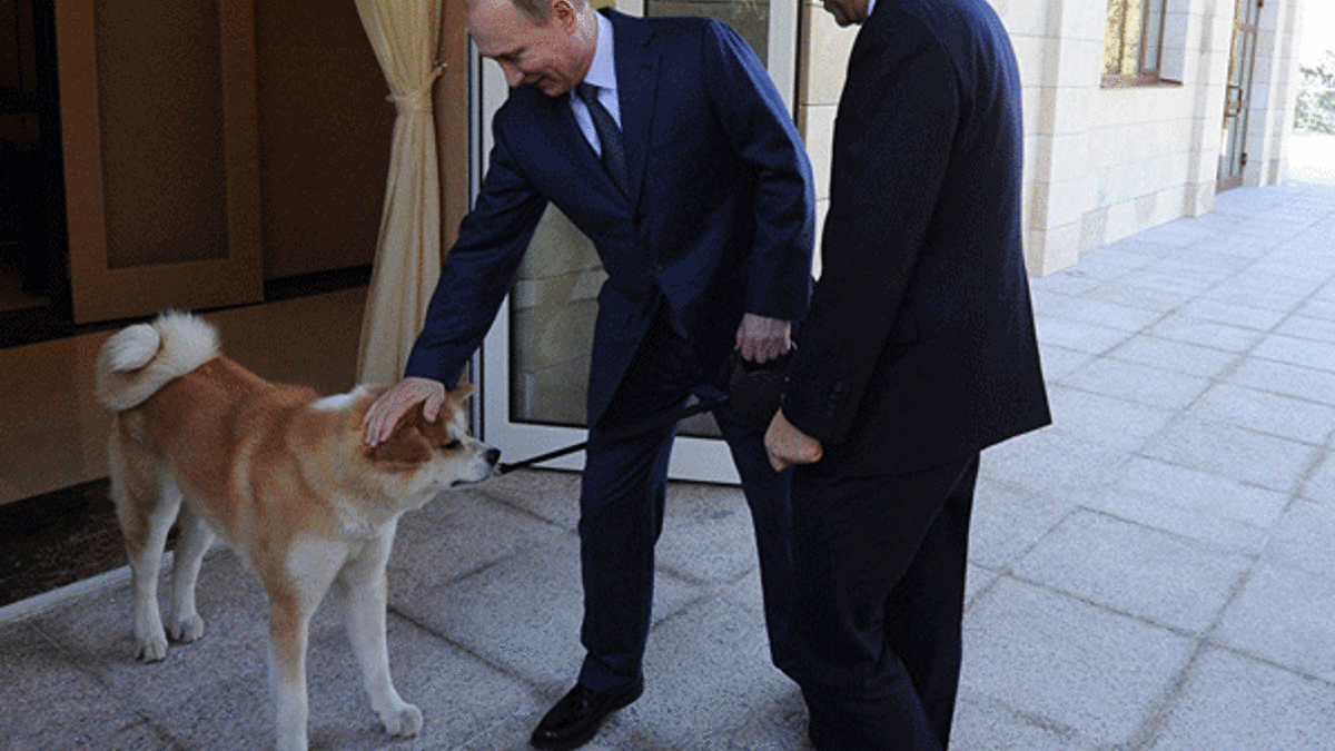 Putin, Japonların hediyesini reddetti