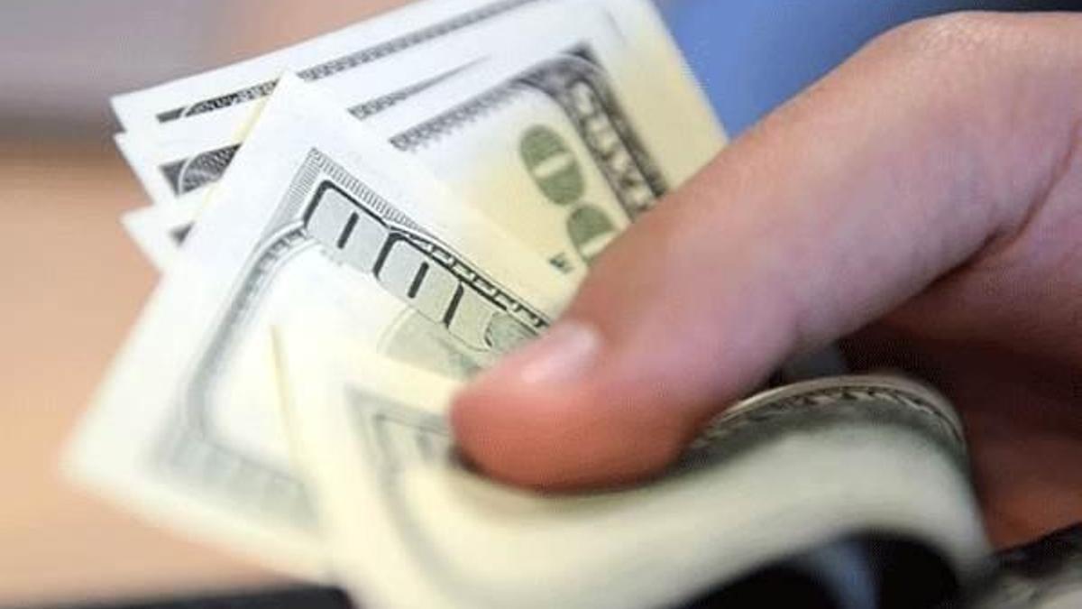 Ünlü CEO'dan dolar eleştirisi