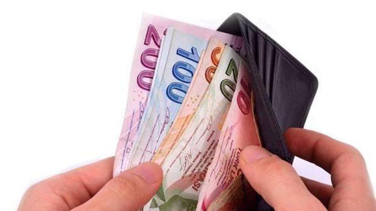Üniversite mezunlarına yeni meslek imkanı
