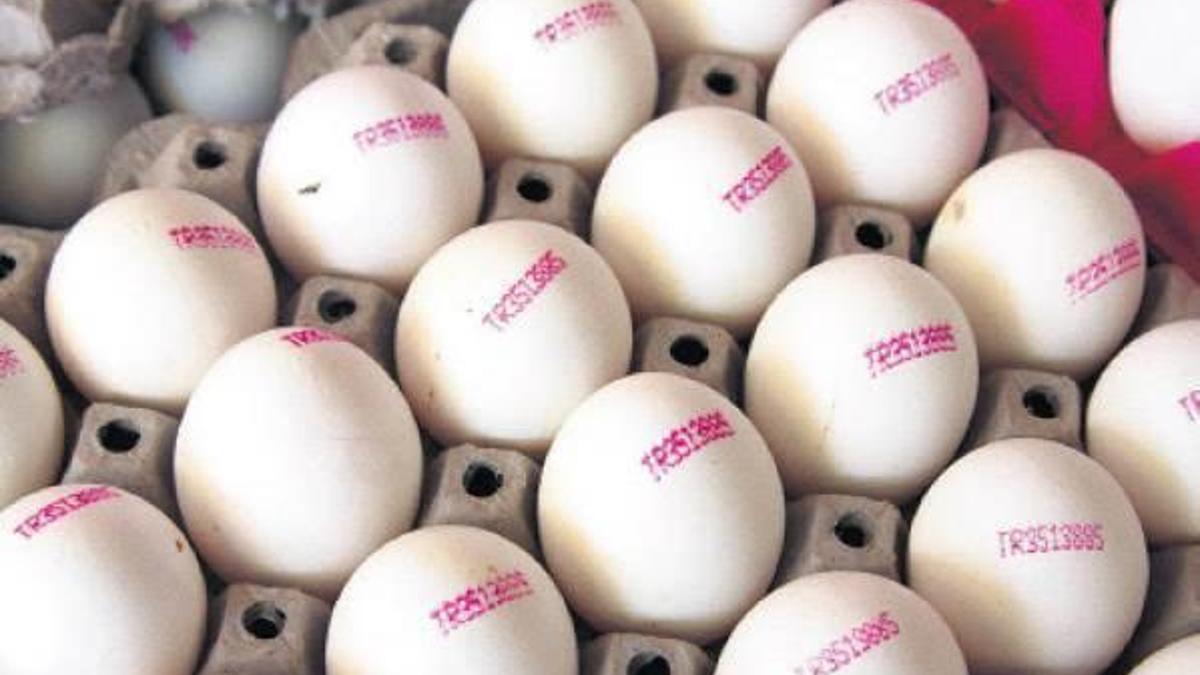 Yumurta fiyatlarındaki artış "geçici"