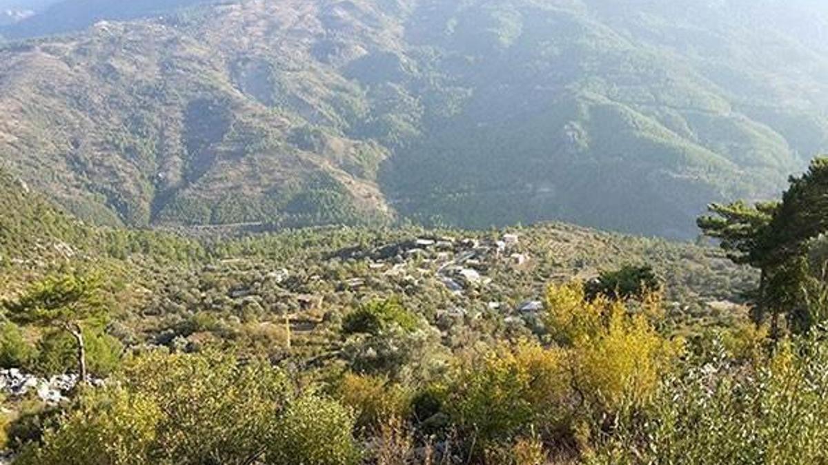 Ruhsat skandalını mahkeme durdurdu