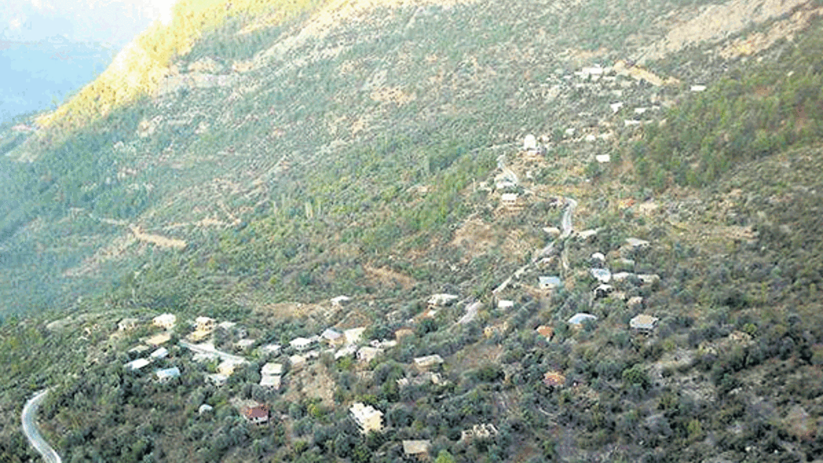 Ruhsat skandalını mahkeme durdurdu