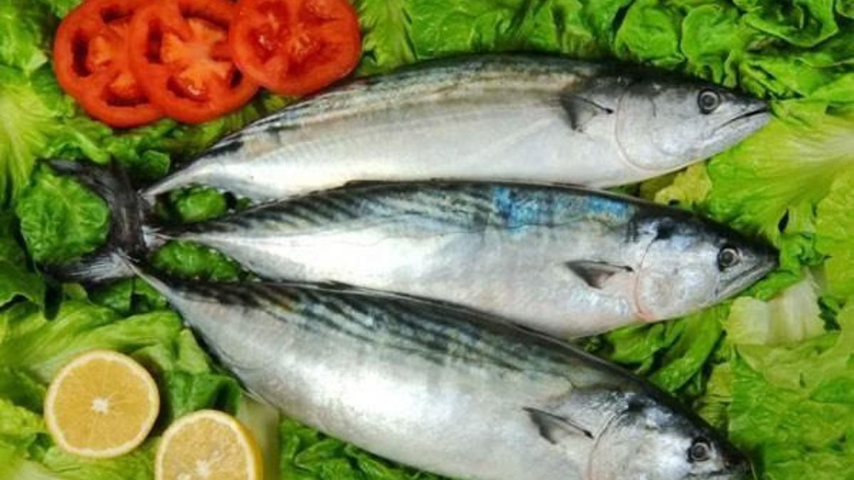 Soğuk hava fiyatları uçurdu!