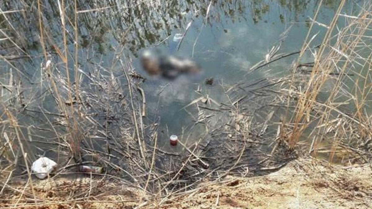 Akçakale'de, sulama kanalında ceset bulundu