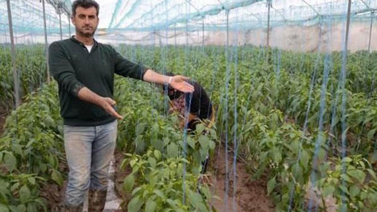 Mersin'de sel felaketinin bilançosu ağır