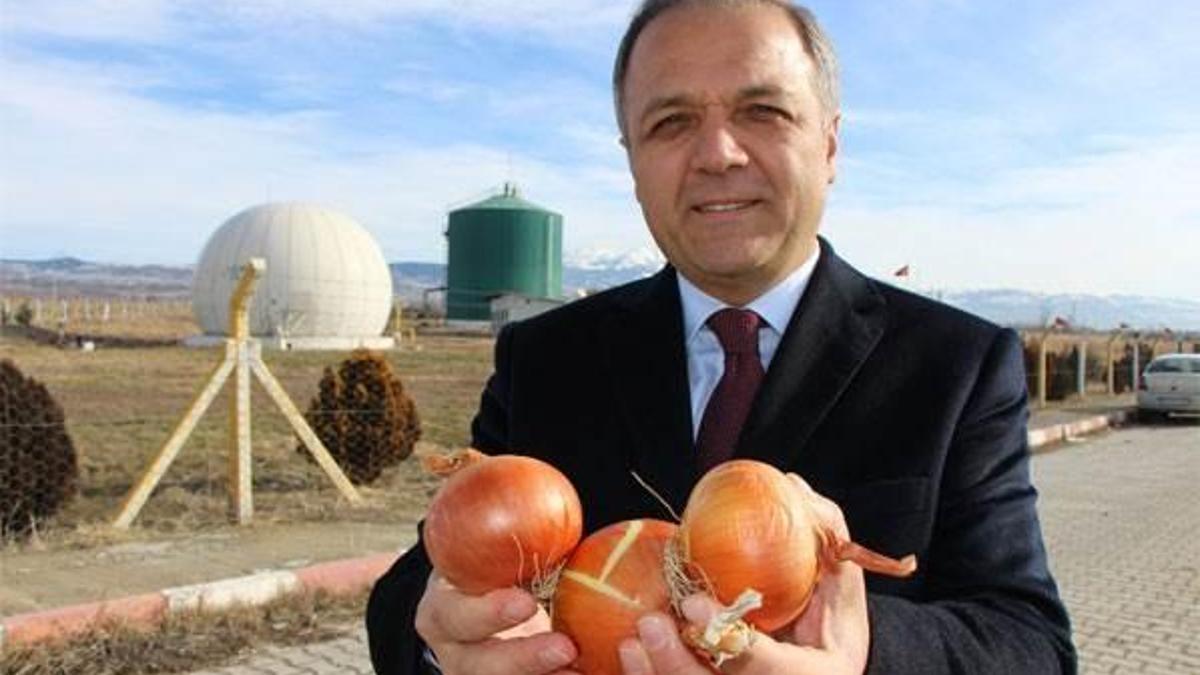 Soğandan elektrik üreteceğiz