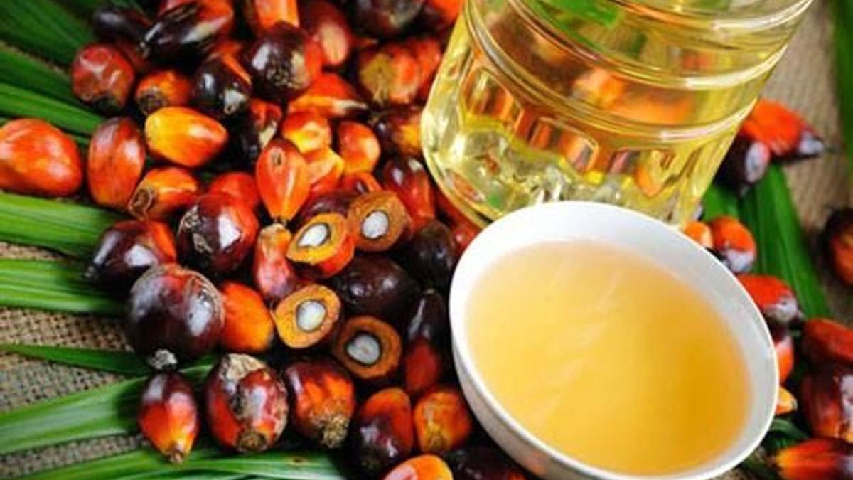 Palm yağı nedir? Palm yağı hangi ürünlerde ve ne amaçla kullanılır?