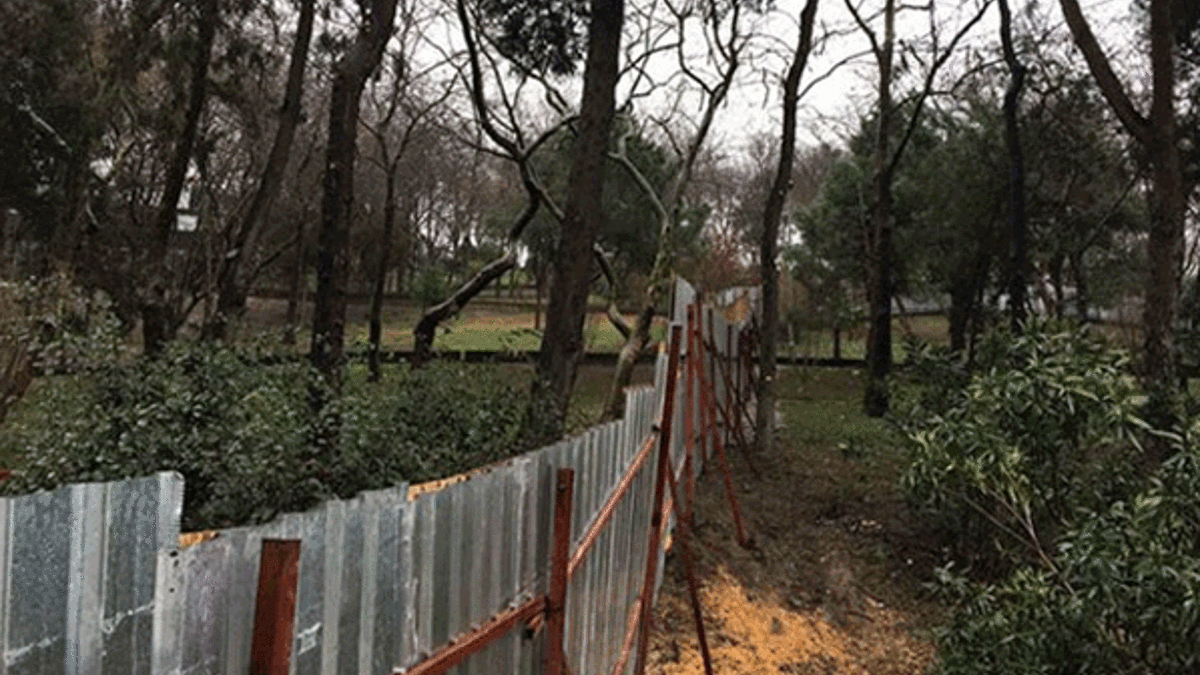 İBB: Maçka Parkında ağaç kesilmeyecek