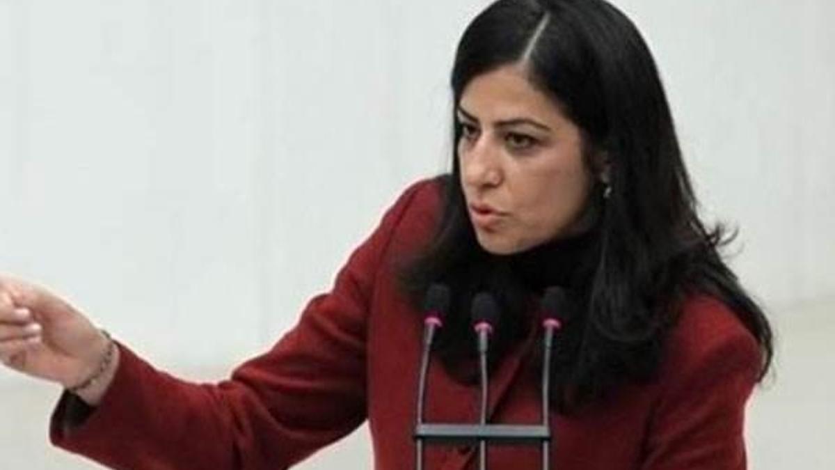 HDP’li eski vekile 95 yıl hapis istemi