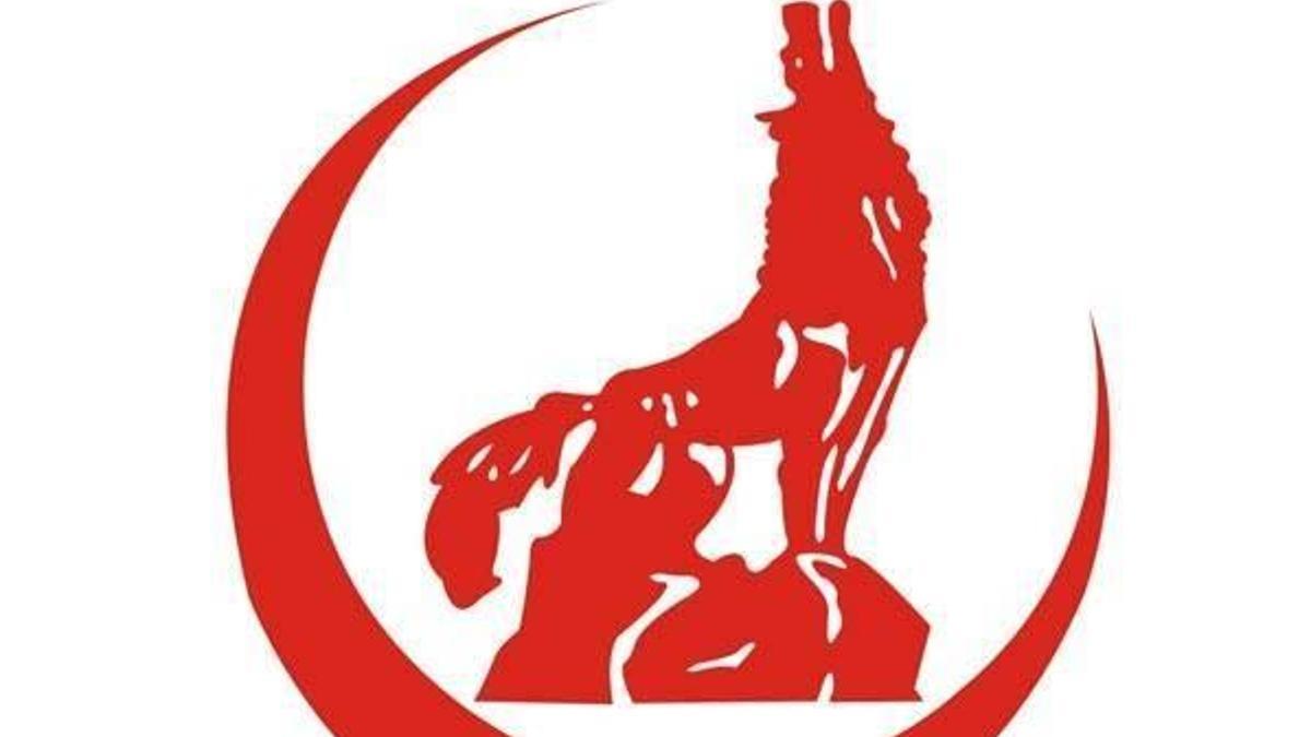 Ülkü Ocaklarından MHP Lideri Bahçeli’ye tam destek