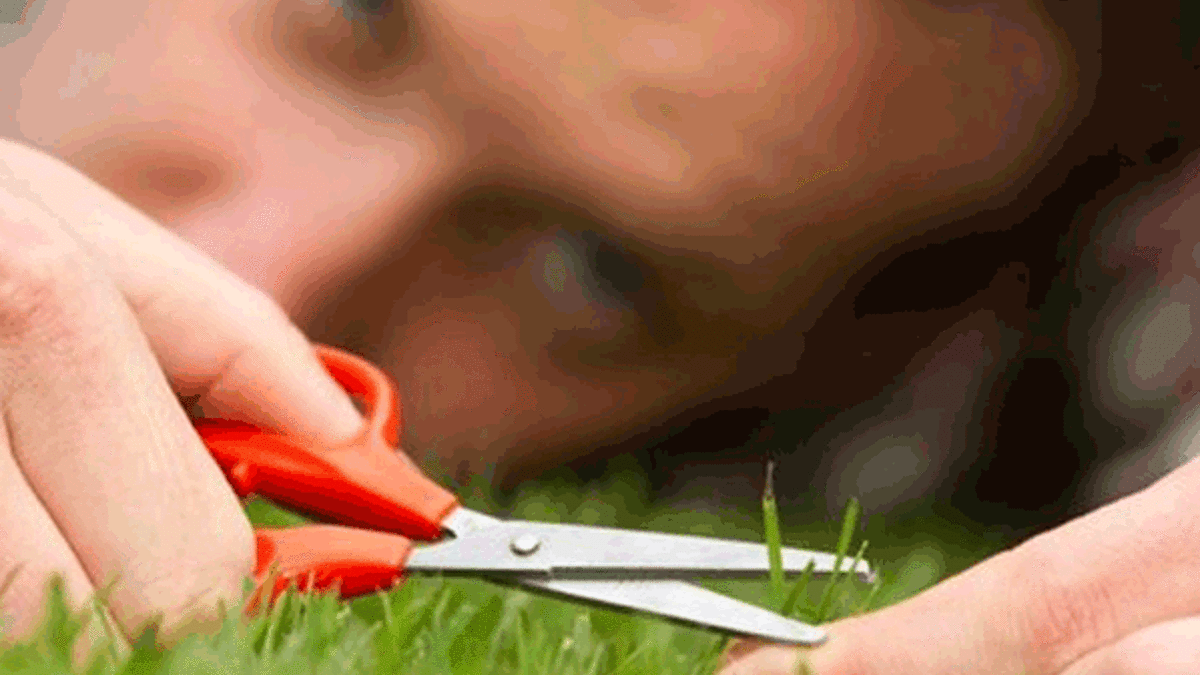 Takıntı hastalığı nasıl gelişiyor?