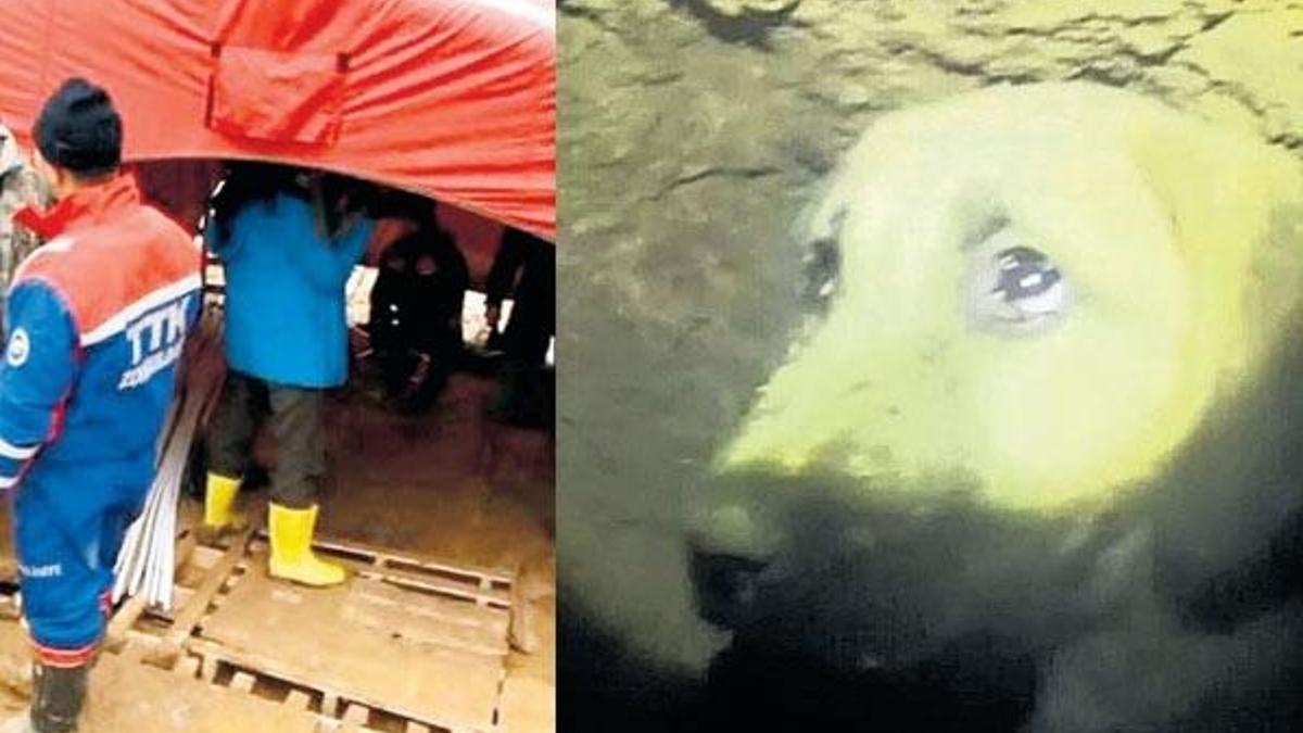 Ya bir çocuk düşseydi!