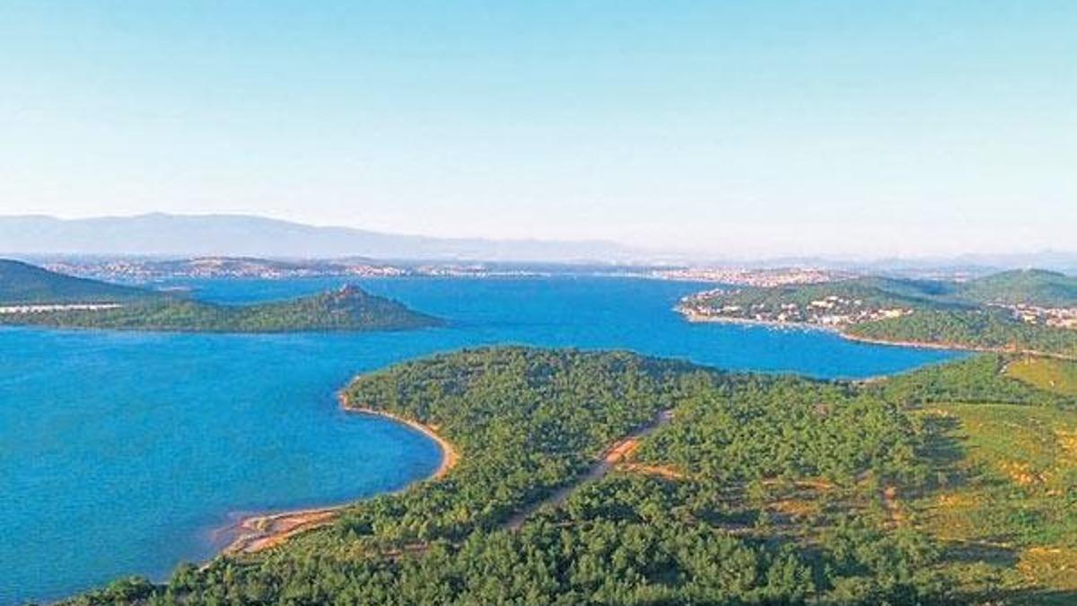 Ayvalık için el ele