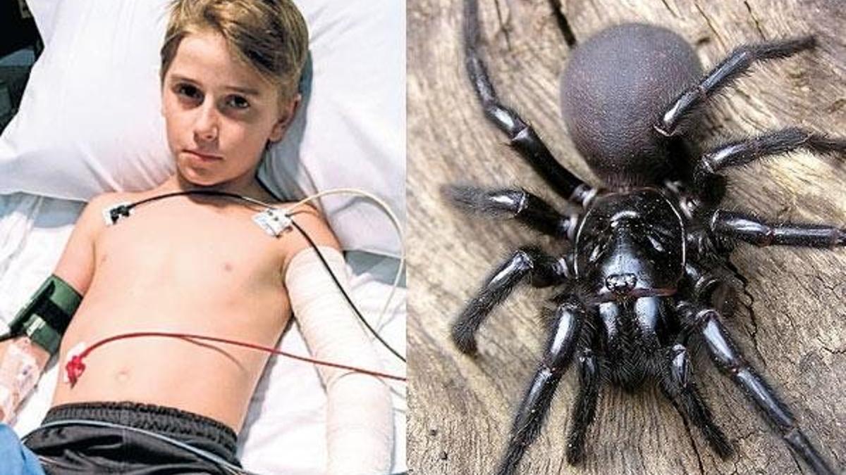 12 şişe panzehir ile kurtarıldı