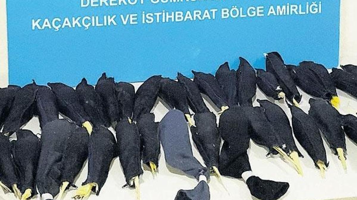Gizli bölmede 45 sultan!