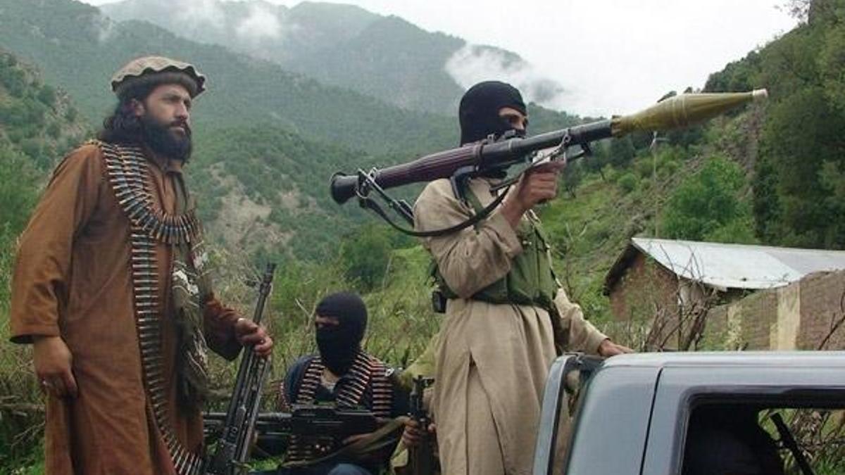Taliban: Ağaç dikin!
