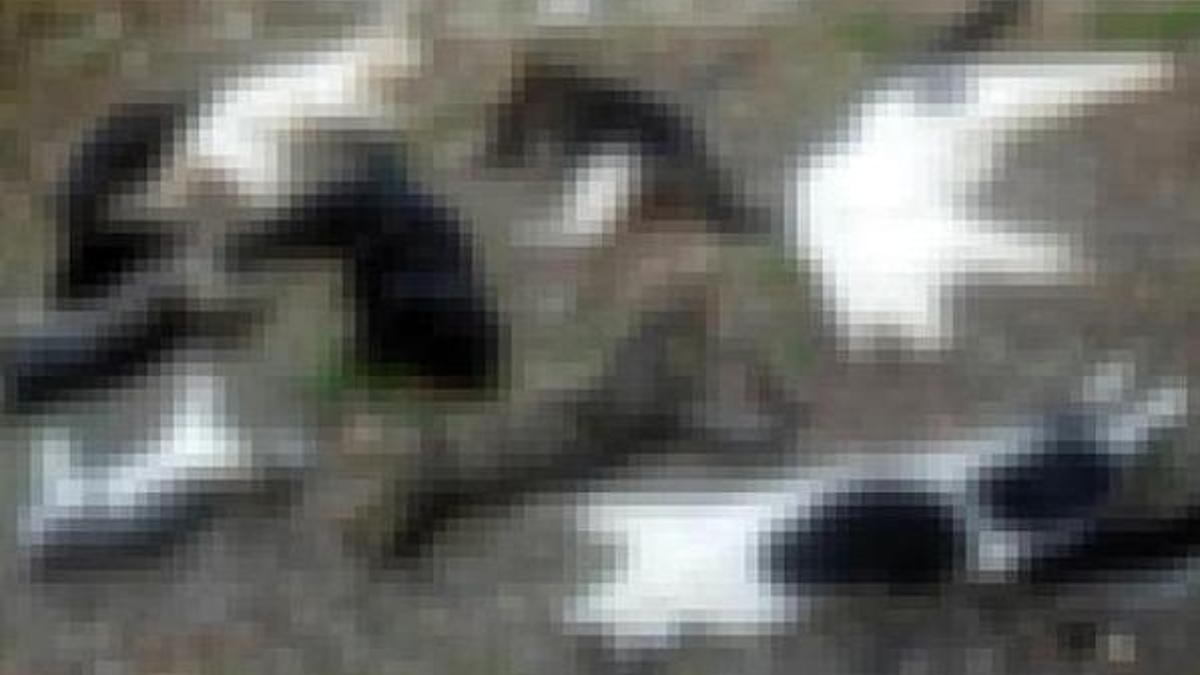 Alanya'daki kedi ölümleriyle ilgili Rus vatandaşı gözaltına alındı