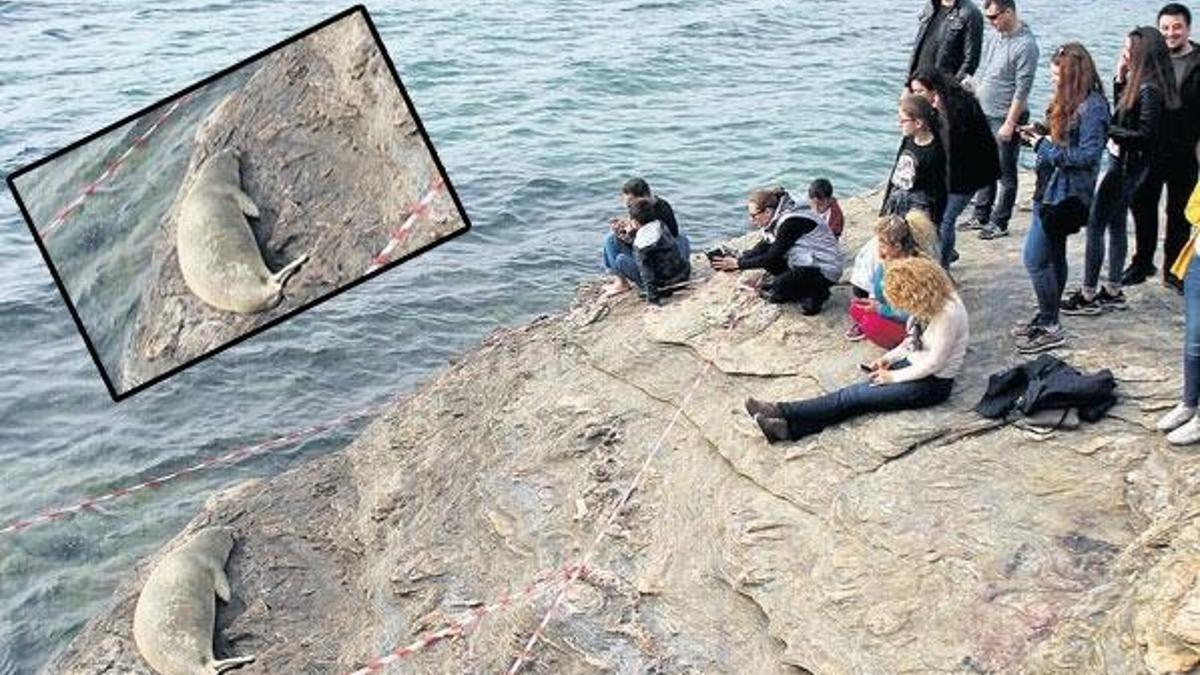 ‘Rahatsız etmeyin uyusun’ bandı