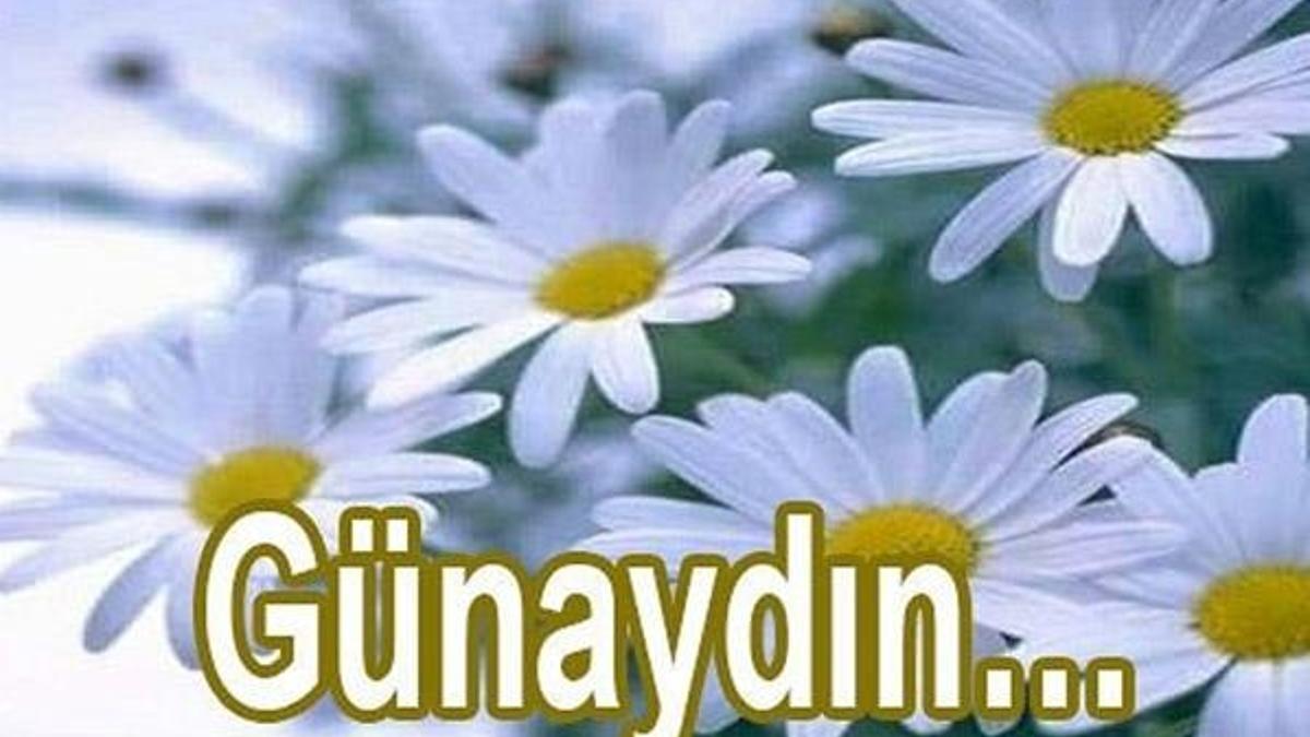 En güzel günaydın mesajları... (Günaydın mesajları sevgiliye)