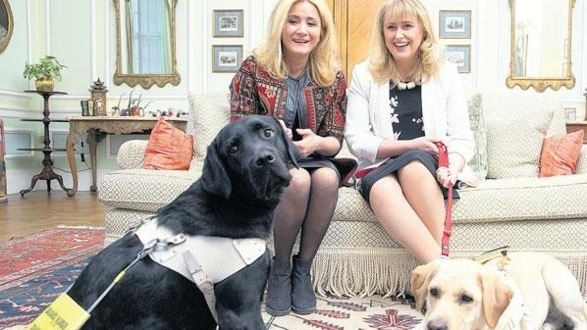 Görme engelli kadına ‘rehber köpek’ engeli