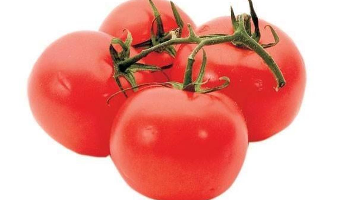 Rusya'ya almadı! İşte yeni rota