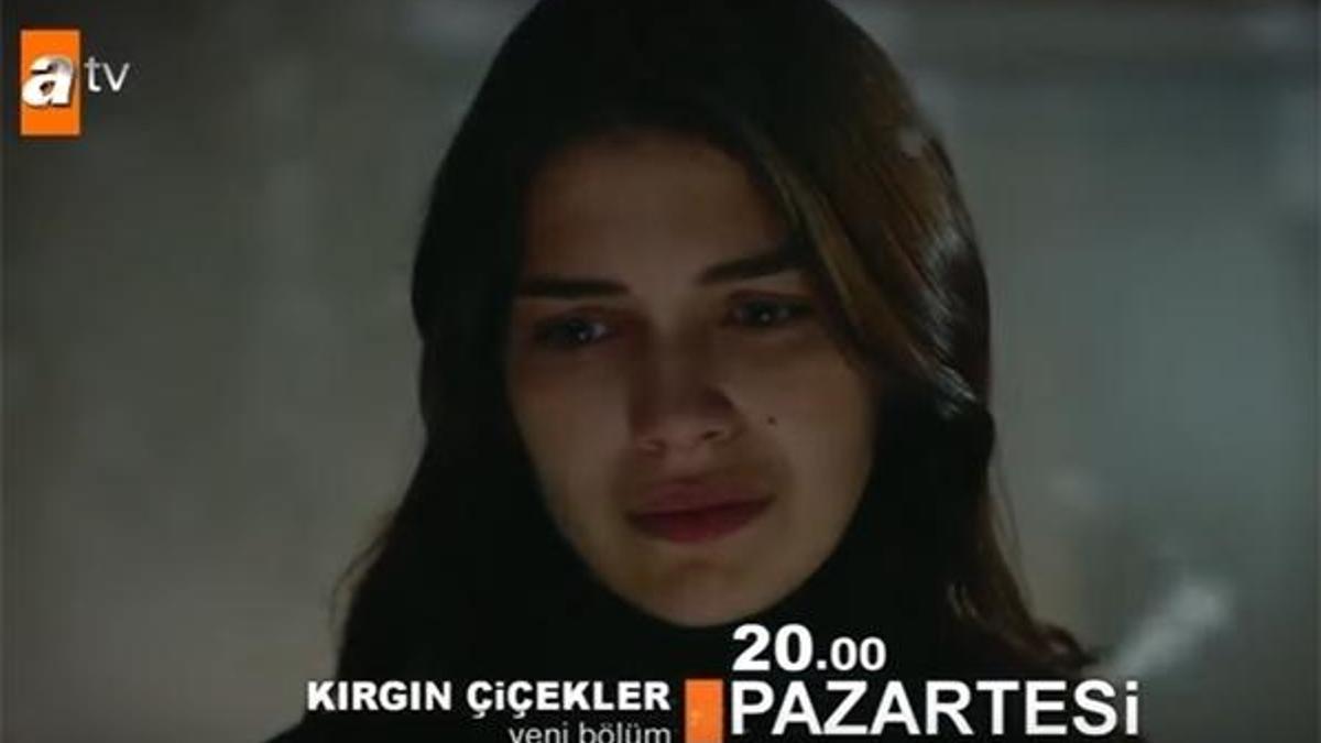 Kırgın Çiçekler 77. yeni bölüm fragmanı yayınlandı mı?