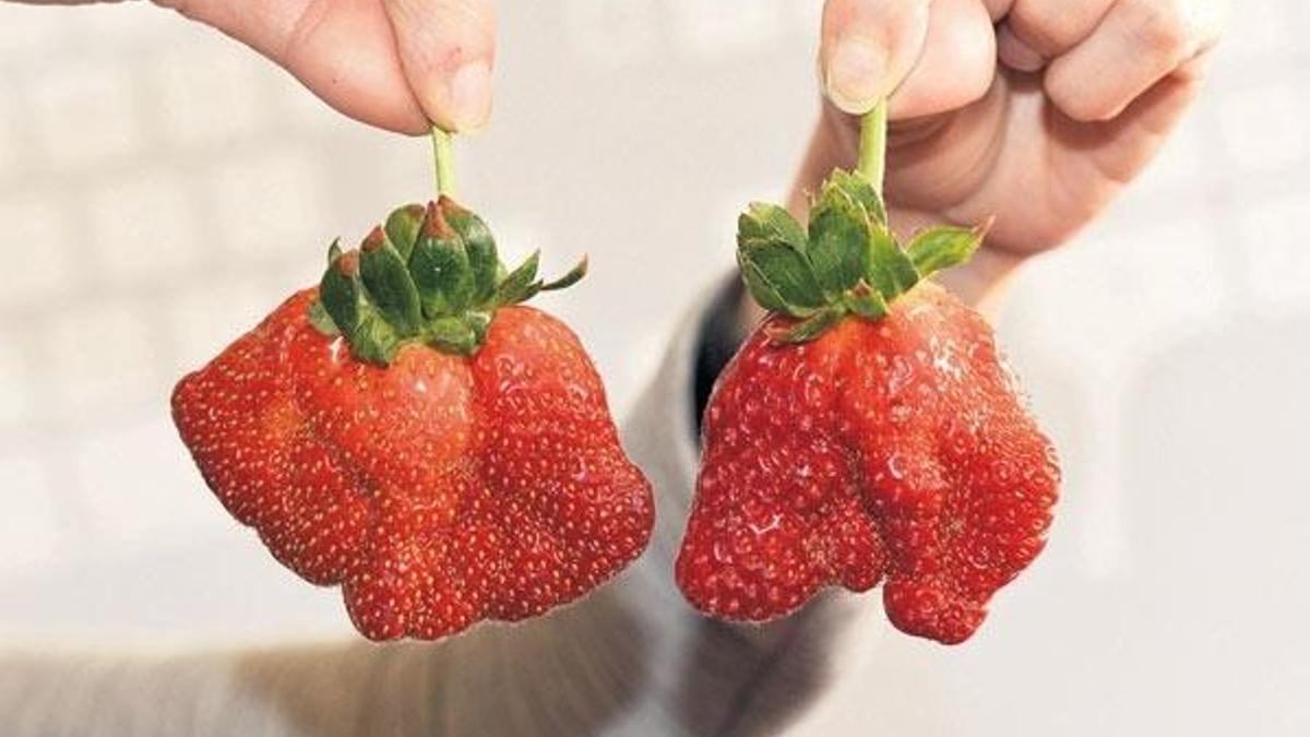 Yamuk çileğin nedeni hormon değil soğuklar