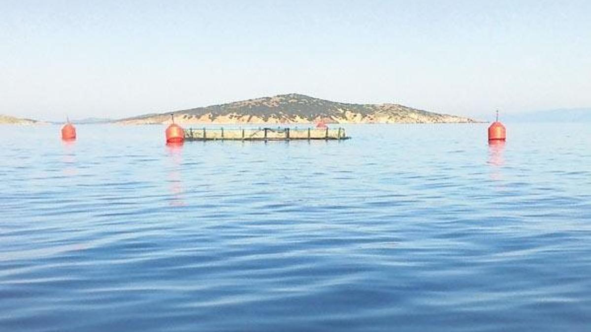 Ayvalık kazandı