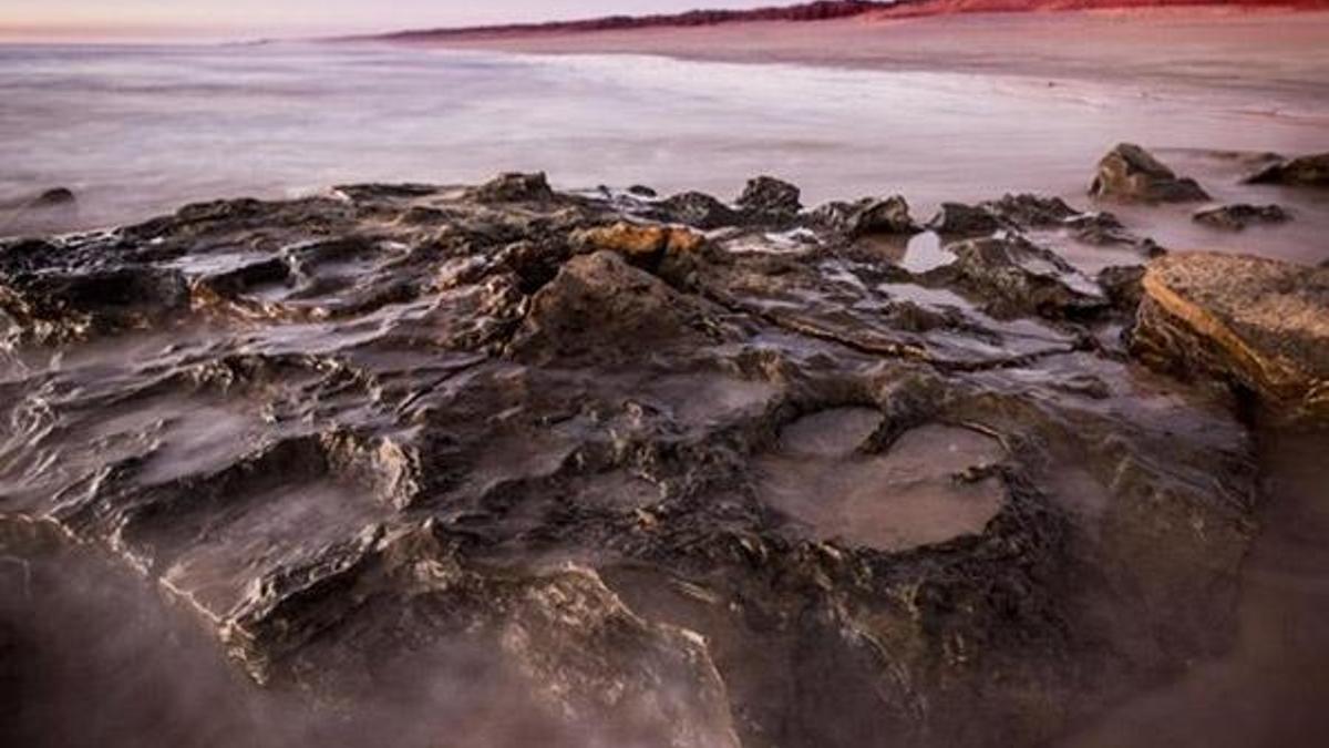 Avustralya'da dünyanın en büyük dinozor ayak izi bulundu
