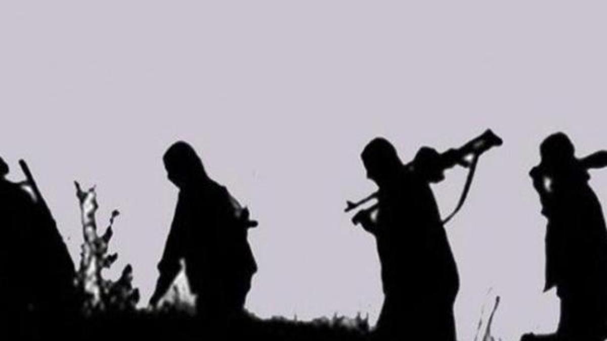 Bitlis’te PKK'ya ağır darbe! O teröristler de öldürüldü
