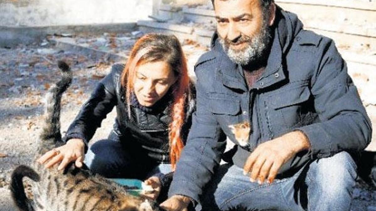 Kedi köyüne 54 bin TL ceza