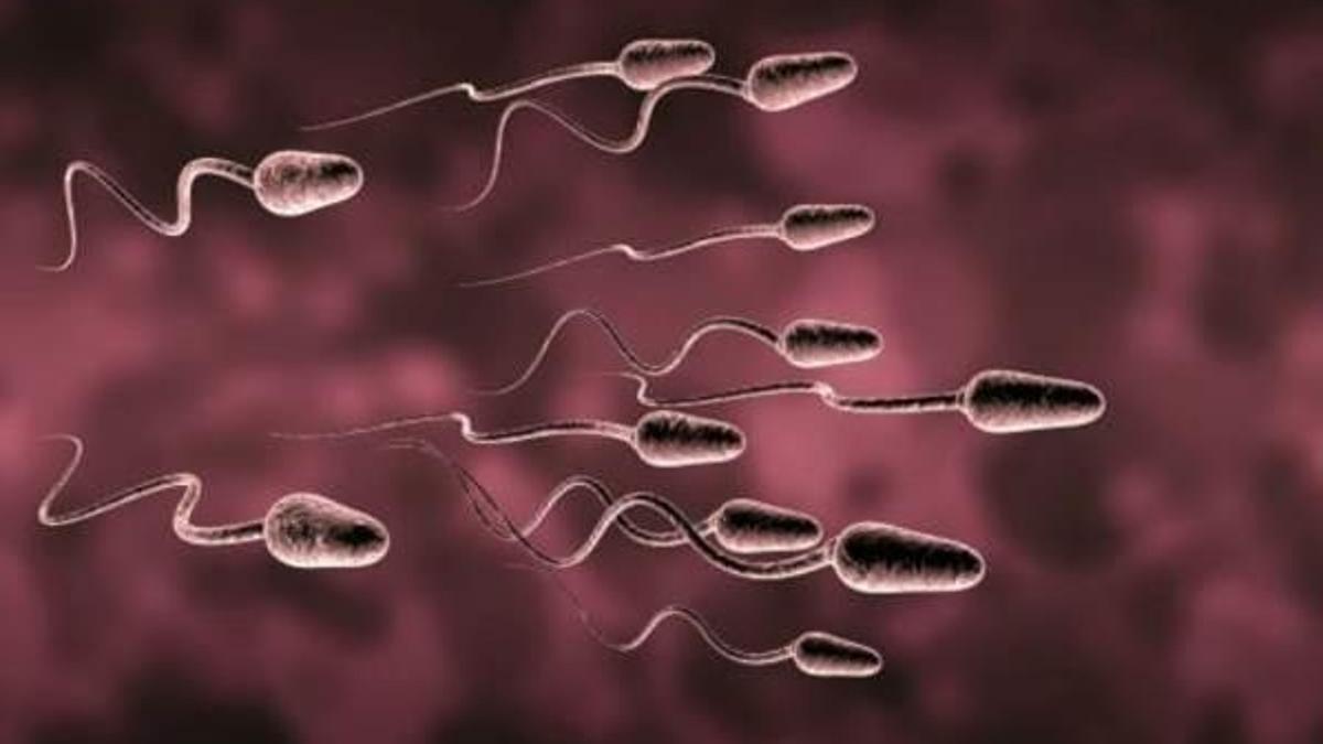 Cep telefonundan sperm testi!