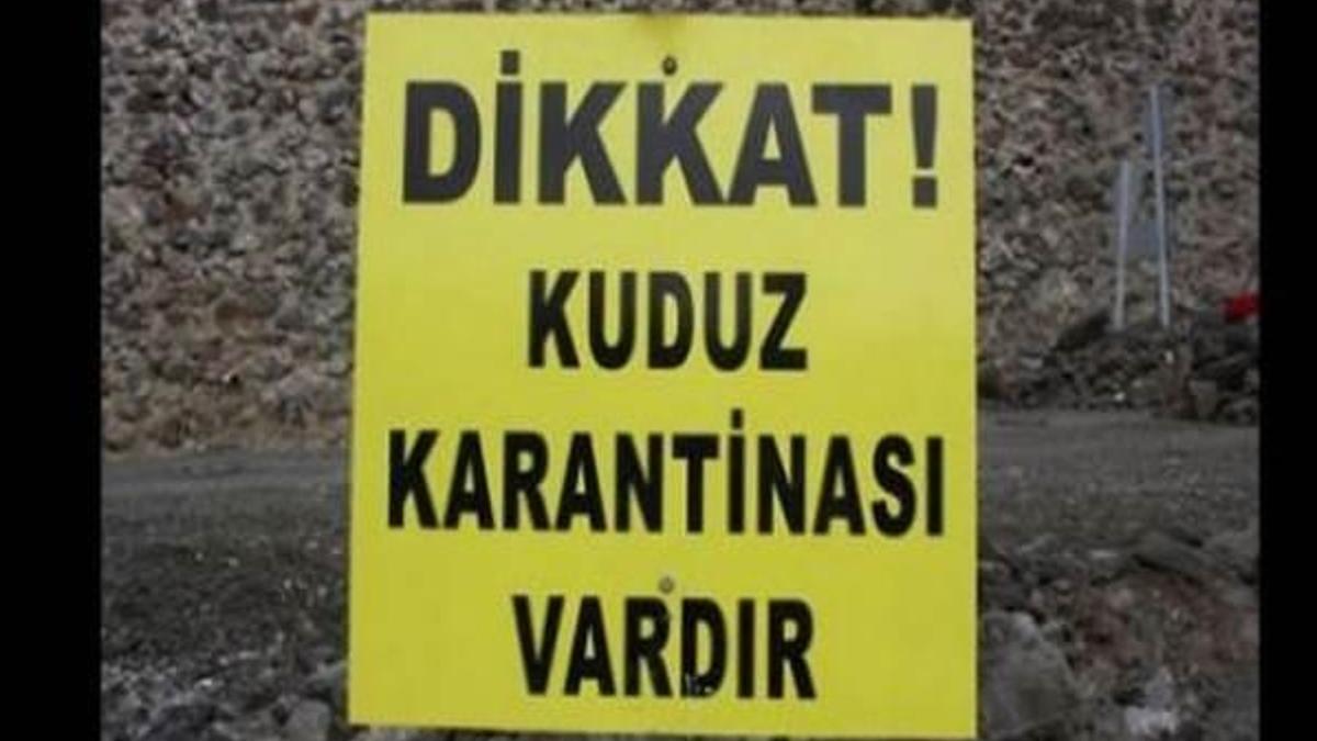 Elazığ'da bir köyde kuduz karantinası