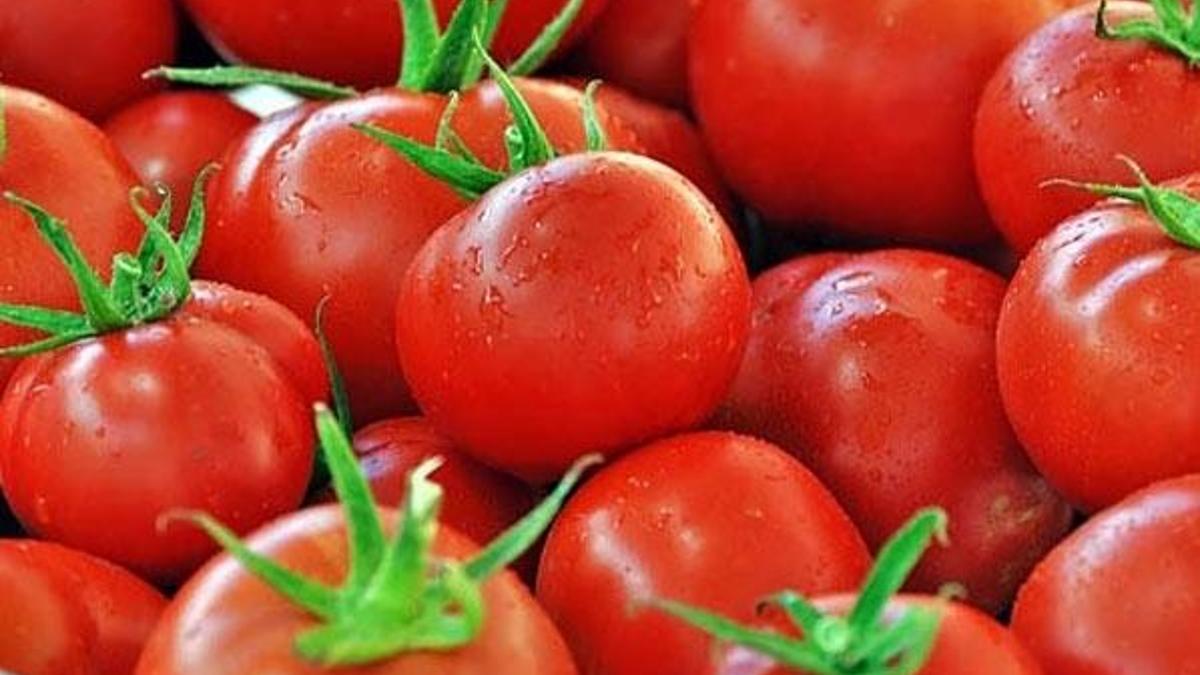 1 ton Türk domatesi imha edildi!
