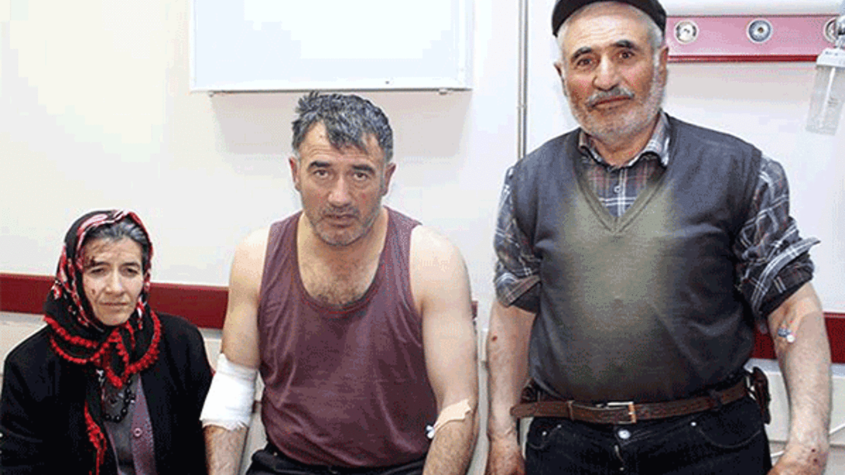 Köye inen aç kurt dehşeti: 4 yaralı