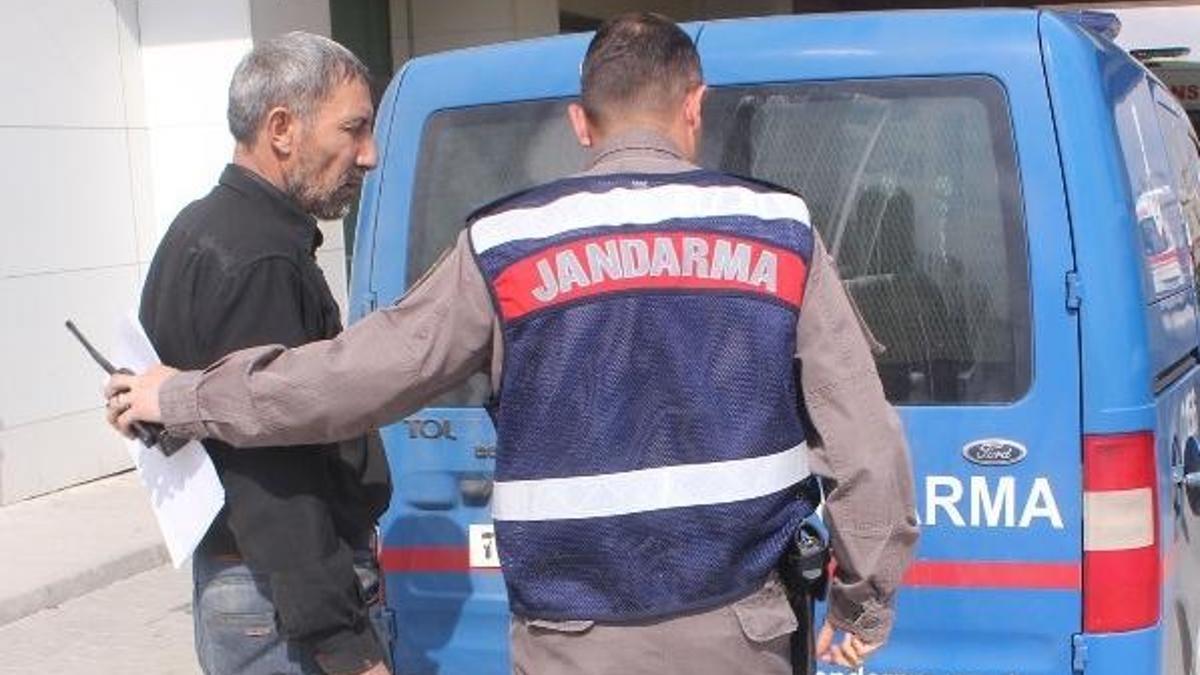 81 yaşındaki yengesini bıçakladı