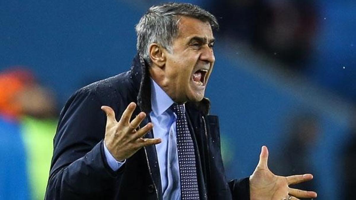 Şenol Güneş: 'Böyle hatalar yaparsak...'
