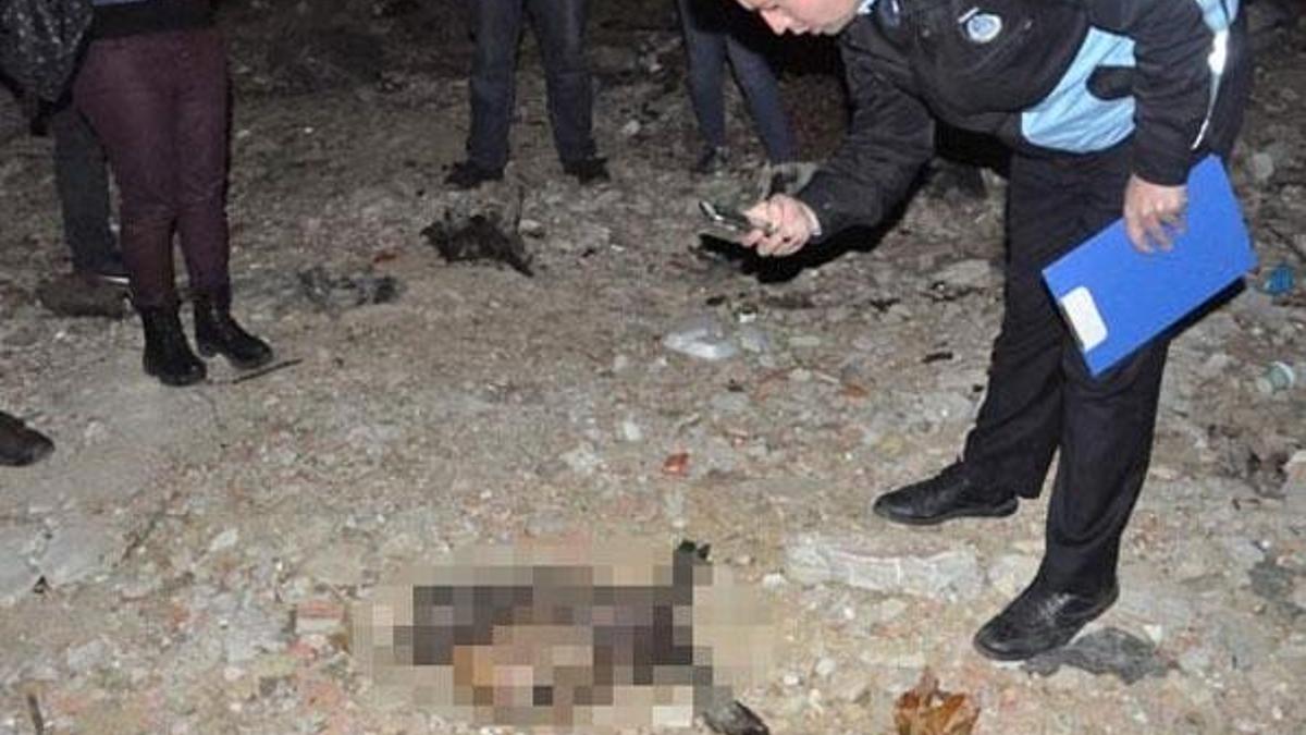 Kesilmiş at ve eşek kafaları bulundu