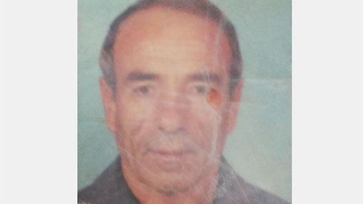 Kestiği ağacın altında kalıp öldü