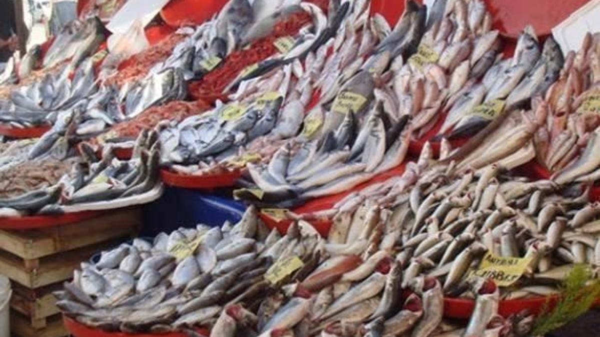 Av yasağı başladı balık fiyatları arttı