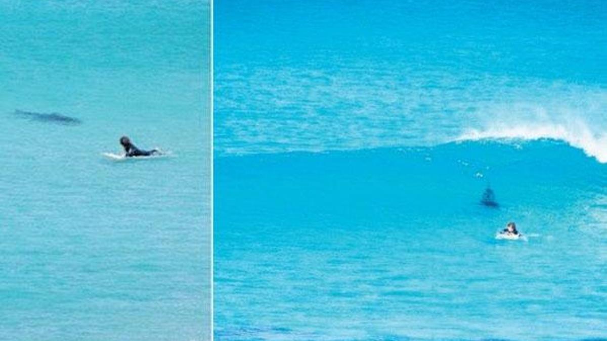 Jaws sörfçü kızı parçaladı