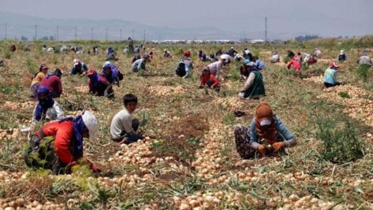 Başbakanlıktan "mevsimlik tarım işçileri" genelgesi
