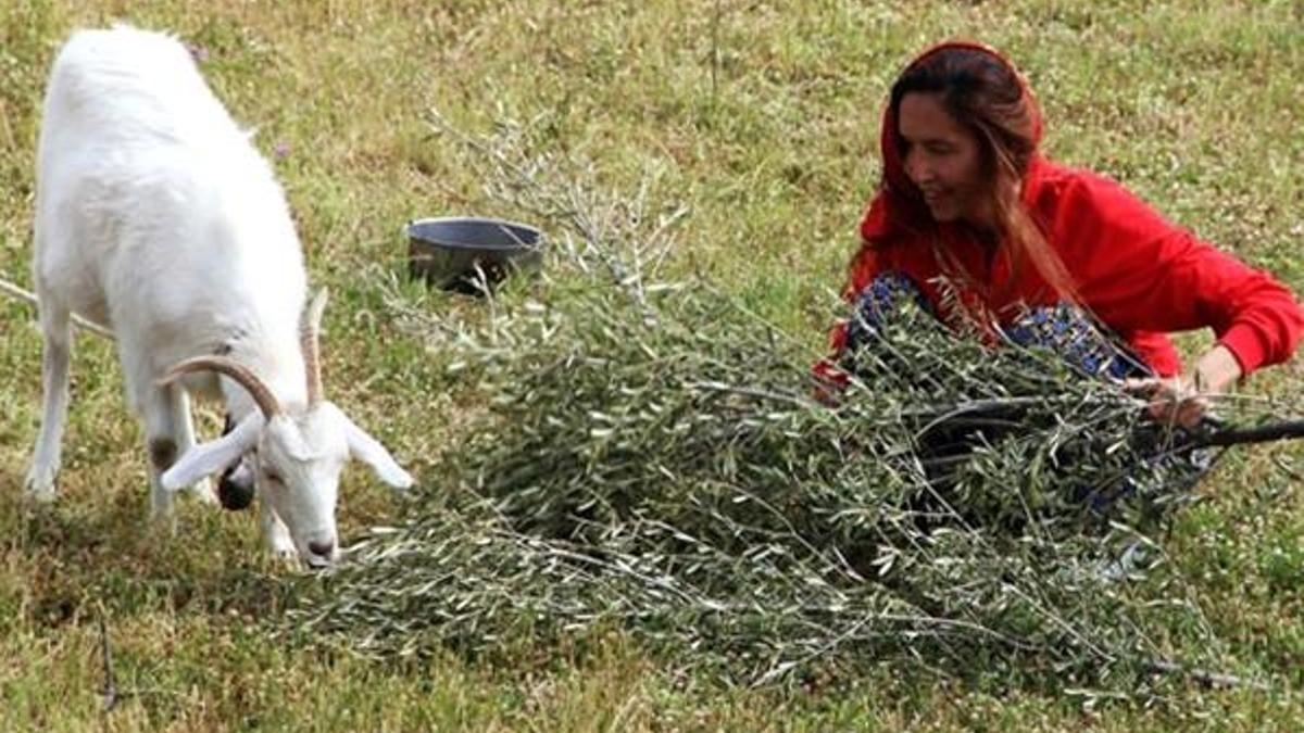 Bir dönem podyumların yıldızıydı şimdi koyun otlatıyor...