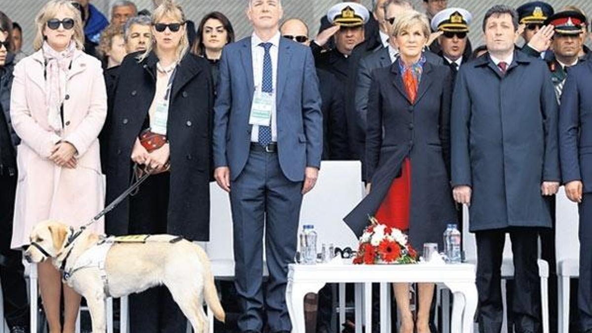 Diplomatik misafir